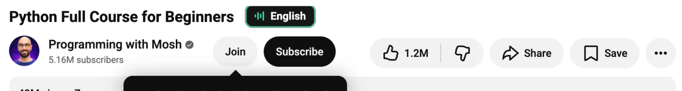 YouTube watch page title with the AudioMatch language chip beside it